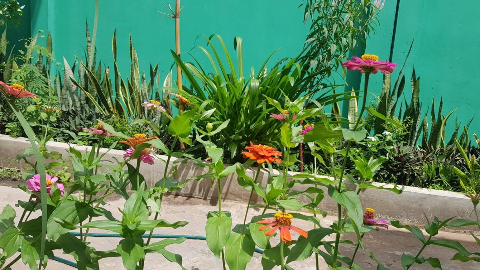 Bloom Garden Bed & Breakfast Сиемрип Экстерьер фото