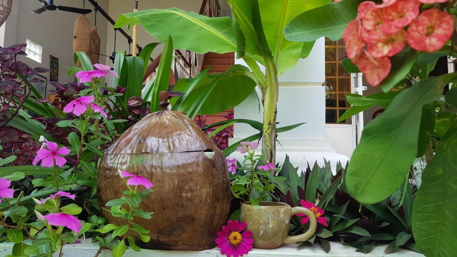 Bloom Garden Bed & Breakfast Сиемрип Экстерьер фото