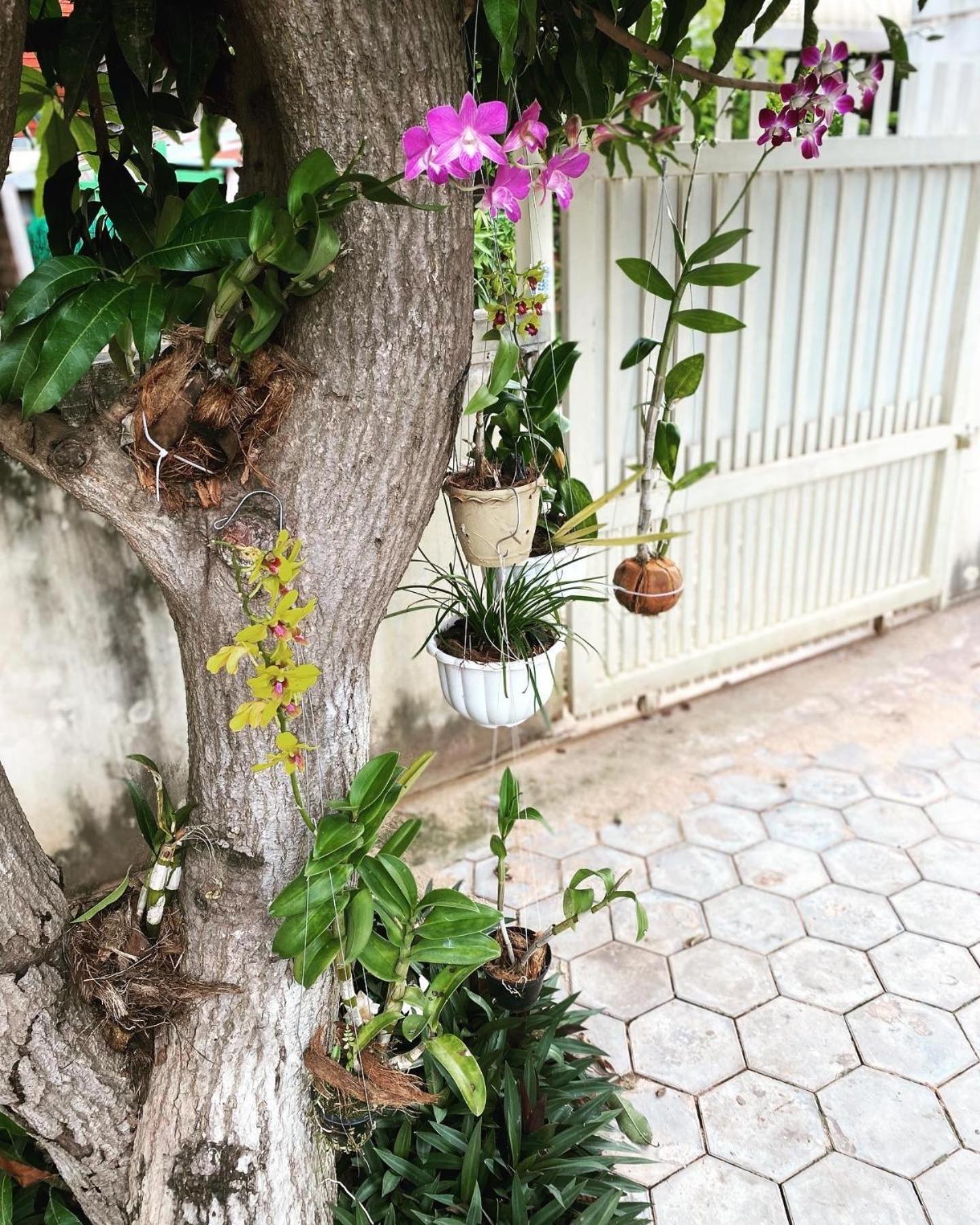 Bloom Garden Bed & Breakfast Сиемрип Экстерьер фото